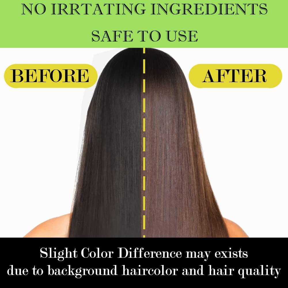 ALINICE ALINICE Gray Hair Shampoo - Enriched Dye Formula with Natural Ingredients - Long Lasting & DIY 500ml (dark brown)