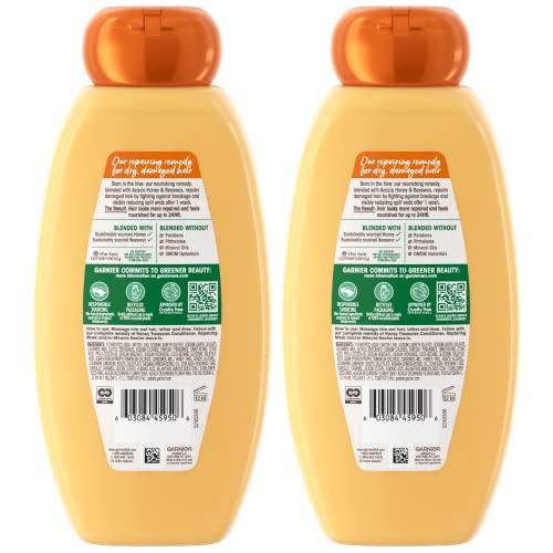 Garnier Garnier Whole Blends Honey Treasures Repairing Shampoo, for Dry, Damaged Hair, 22 Fl Oz, 2 Count (Packaging May Vary)