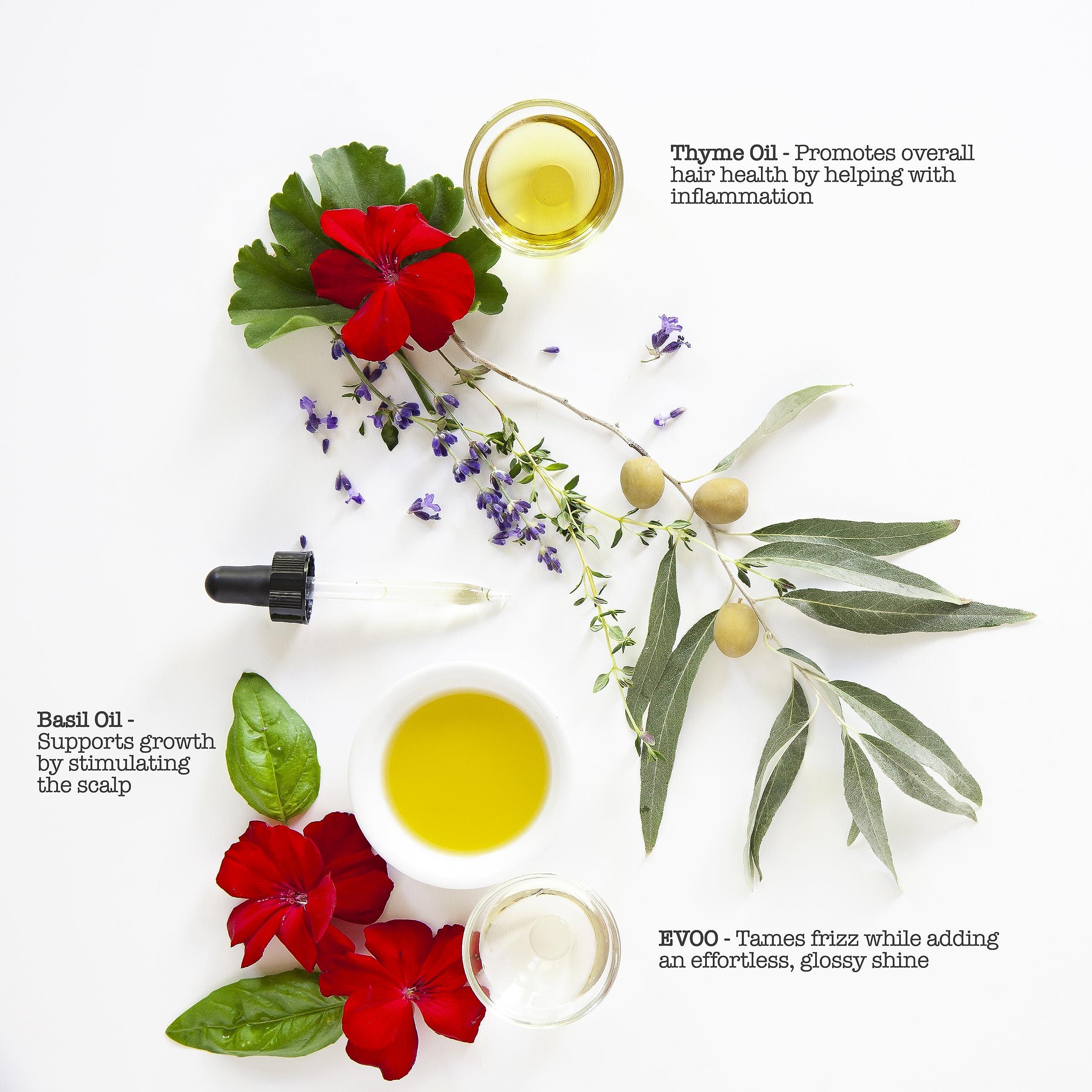 SAUCE BEAUTY SAUCE BEAUTY Intense Repair Olive Oil Treatment - Hair Oil for Curly Hair w/Olive, Thyme & Basil Oils - 2 Fl Oz Hair Oil for Damaged Hair & Split Ends (EVOO)