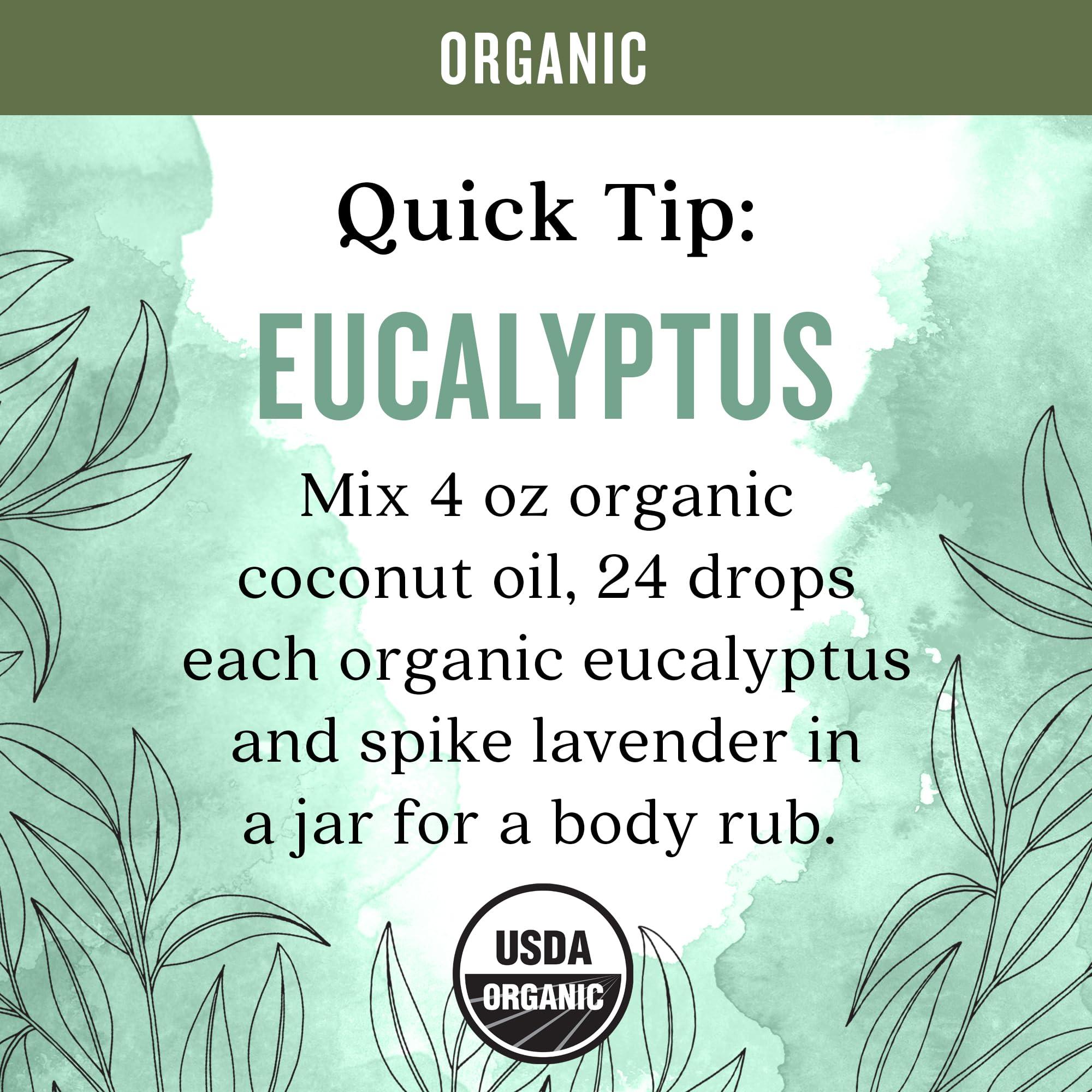 Aura Cacia Aura Cacia Organic Eucalyptus (Radiata) Essential Oil 0.25 fl. oz.