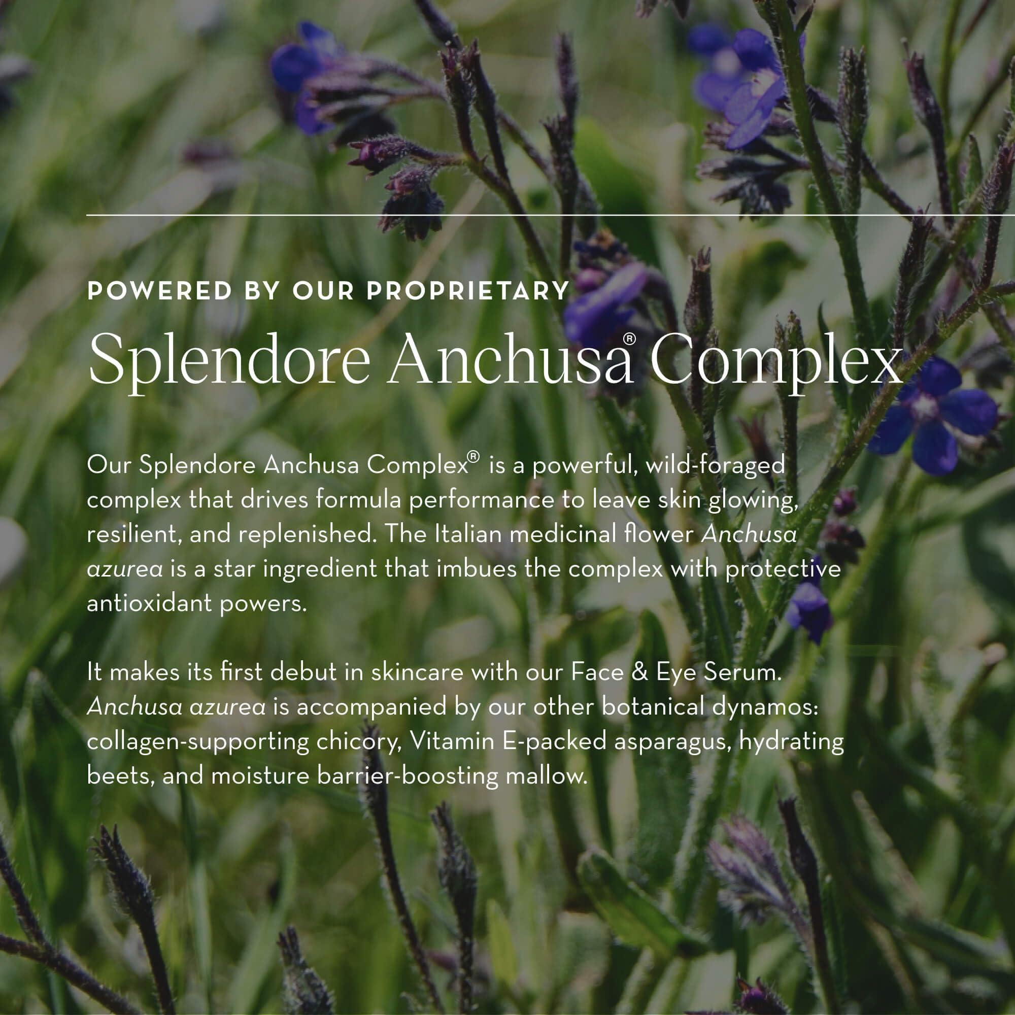 Furtuna Skin Face & Eye Serum - Dual-Use Formula to Lift, Reduce Puffiness and Even Tone, Wild-Foraged Botanicals, Vegan, Dermatologist Tested, EWG Verified, 15ml