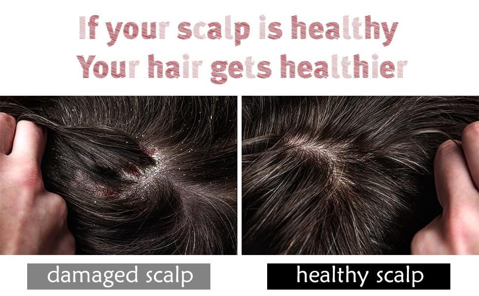 Mielle Mielle Rosemary Mint Strengthening Shampoo w/Biotin 1.75 Fl Oz (Pack of 3)