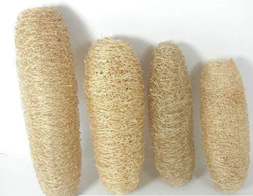GNR Threesome Ridge Ground Fiber Natural Loofah, 4 Pieces Family Pack