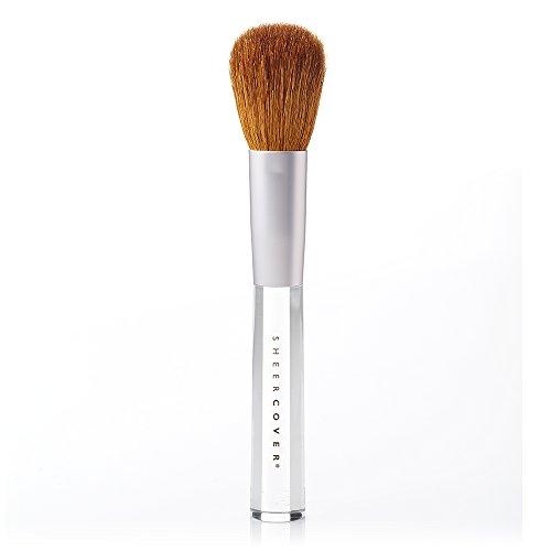Sheer Cover Sheer Cover Studio Ultimate Brush Kit Foundation, Lip, Concealer & Contour Brushes FREE Case 5 Pieces