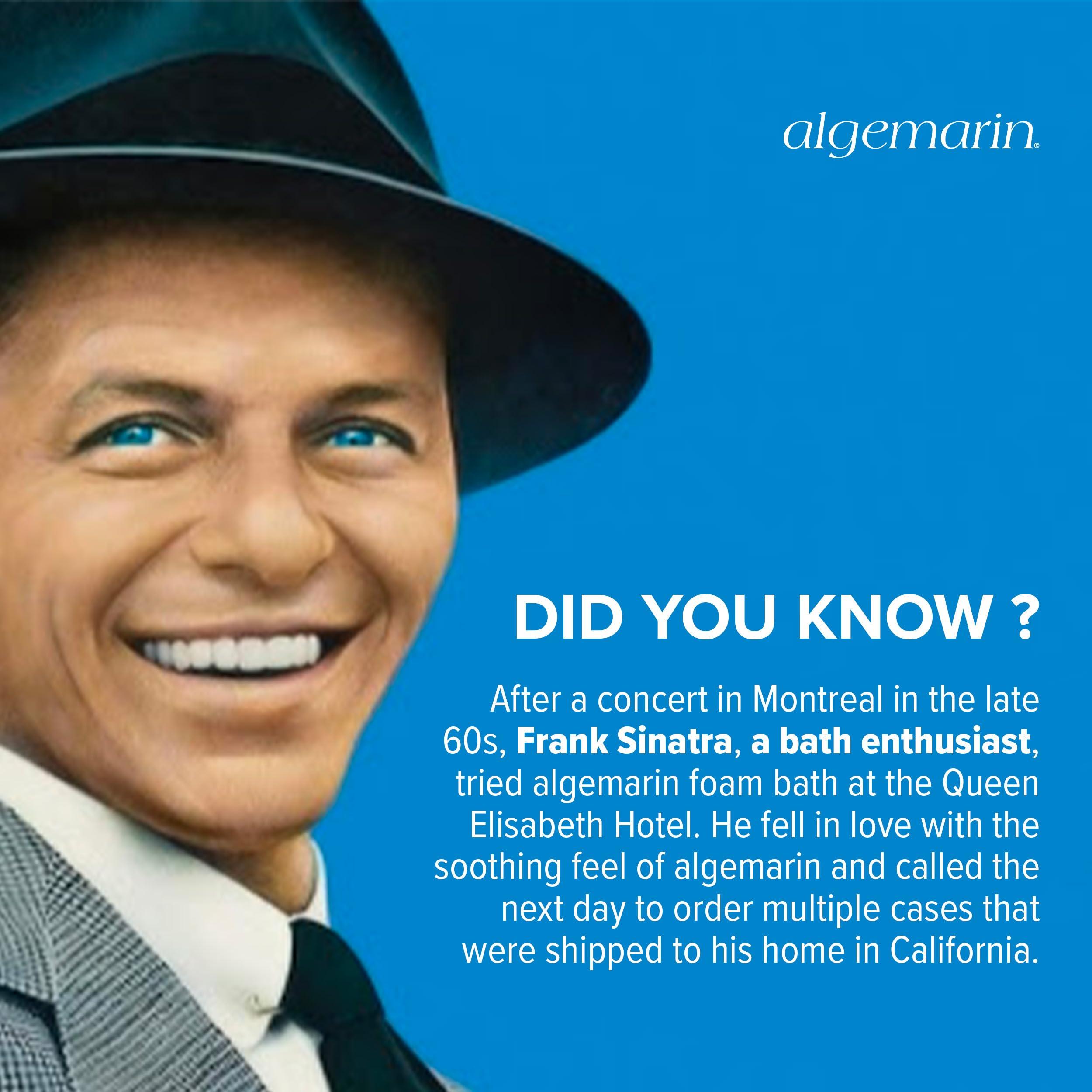 Algemarin Algemarin Original Scent Foam Bath European Sea Algae Aromatherapy (2-Pack, 500 ml)