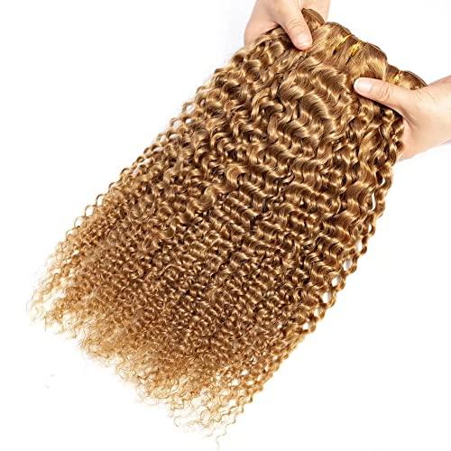 FEEL ME FEEL ME Afro Kinky Curly Human Hair Bundles Brazilian Hair Weave Bundles 10A Unprocessed Brazilian Virgin Curly Hair Bundles Color 27 Honey Blonde Curly Hair 100g 14 Inch