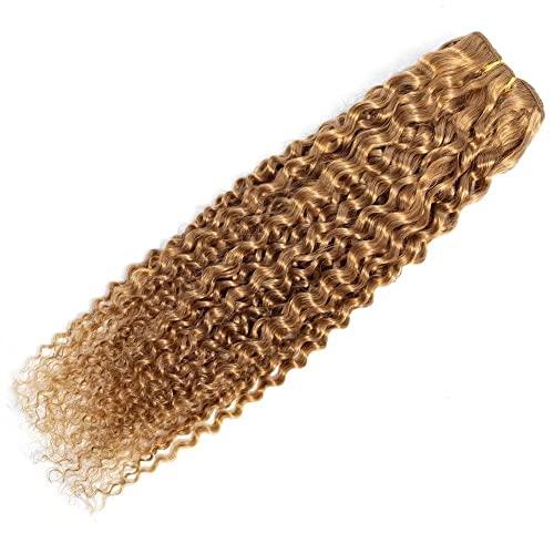 FEEL ME FEEL ME Afro Kinky Curly Human Hair Bundles Brazilian Hair Weave Bundles 10A Unprocessed Brazilian Virgin Curly Hair Bundles Color 27 Honey Blonde Curly Hair 100g 14 Inch