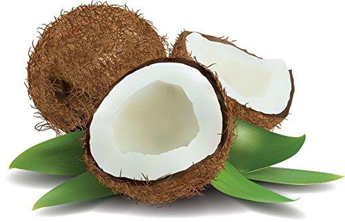 Splendor Santa Barbara Splendor Soap for Men - Coconut Oil Bath & Body Bar Soap. Cleanse, Exfoliate, Refresh. Handmade, Vegan, Moisturizing, Activated Charcoal, Pumice and Alkanet Root