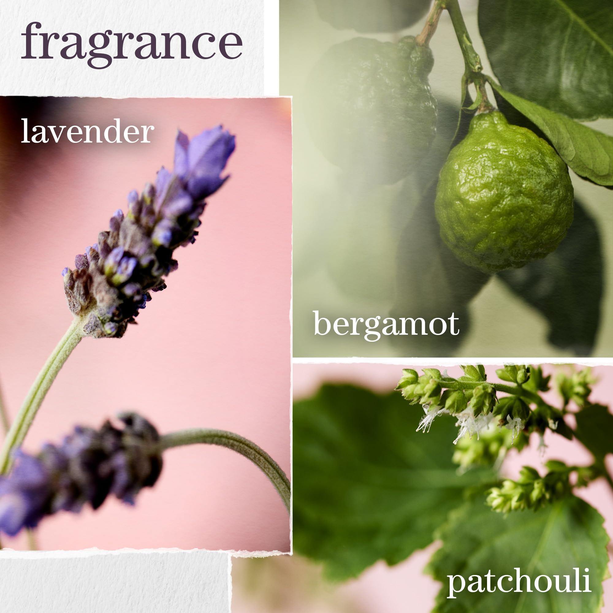 Pureology Pureology Hydrate Moisturizing Shampoo | Softens and Deeply Hydrates Dry Hair | For Medium to Thick Color Treated or Natural Hair | Sulfate Free Shampoo | Vegan