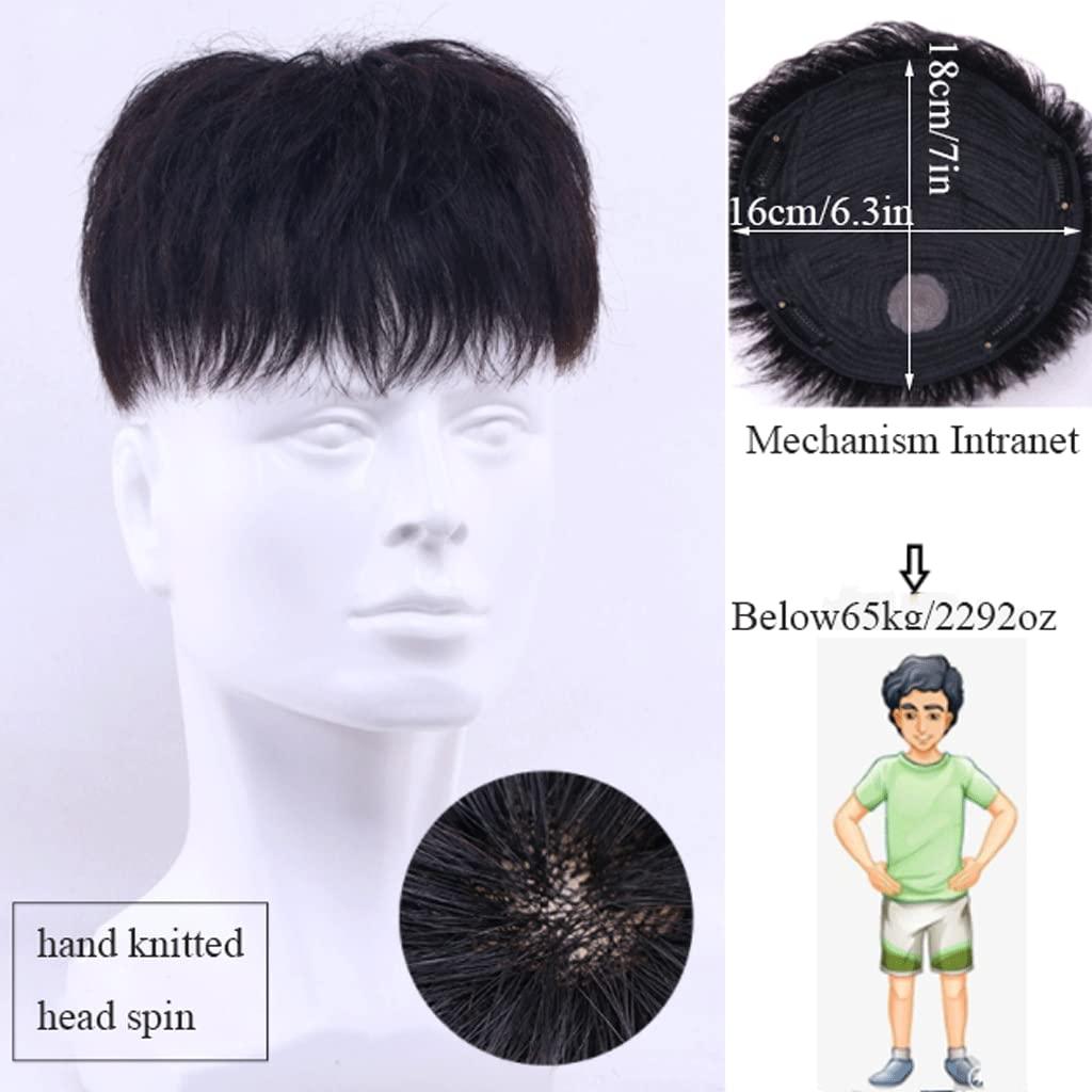 SOBOUR SOBOUR Heat Resistant Black Mens Wigs Handsome Mullet Wigs For Men Natural Looking Heat Resistant Real Human Hair Wig For Male Guy Daily Wear Synthetic