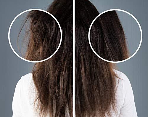 Difeel Difeel Scalp Care Leave in Conditioning Treatment - Peppermint Oil 6 oz. with Spray Cap & Dispensing Cap