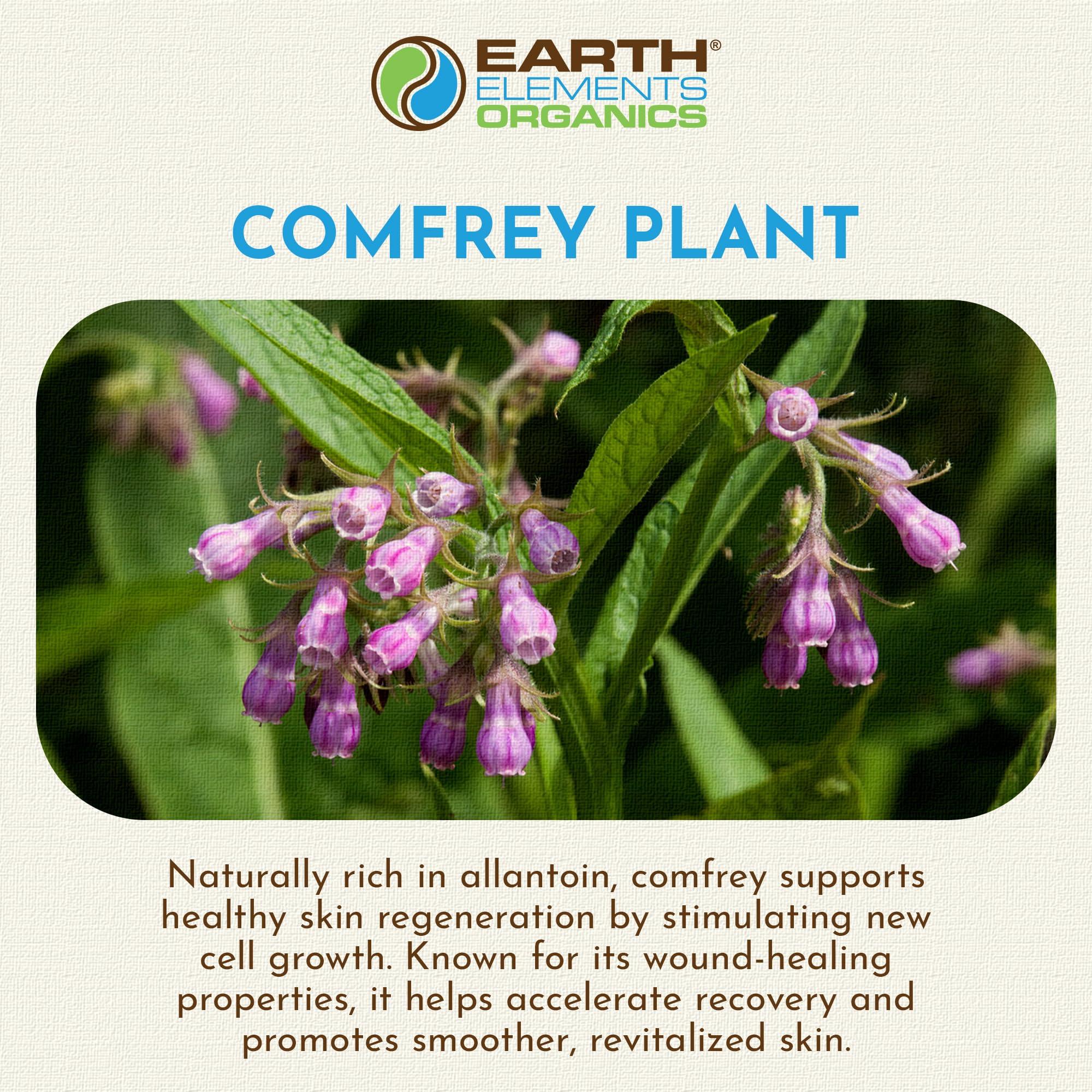 Earth Elements Organics Organic Comfrey Oil Raw, Infused, Pressed Herbal Oil. Comfrey Leaf, Sunflower Seed Oil 4 fl.oz.