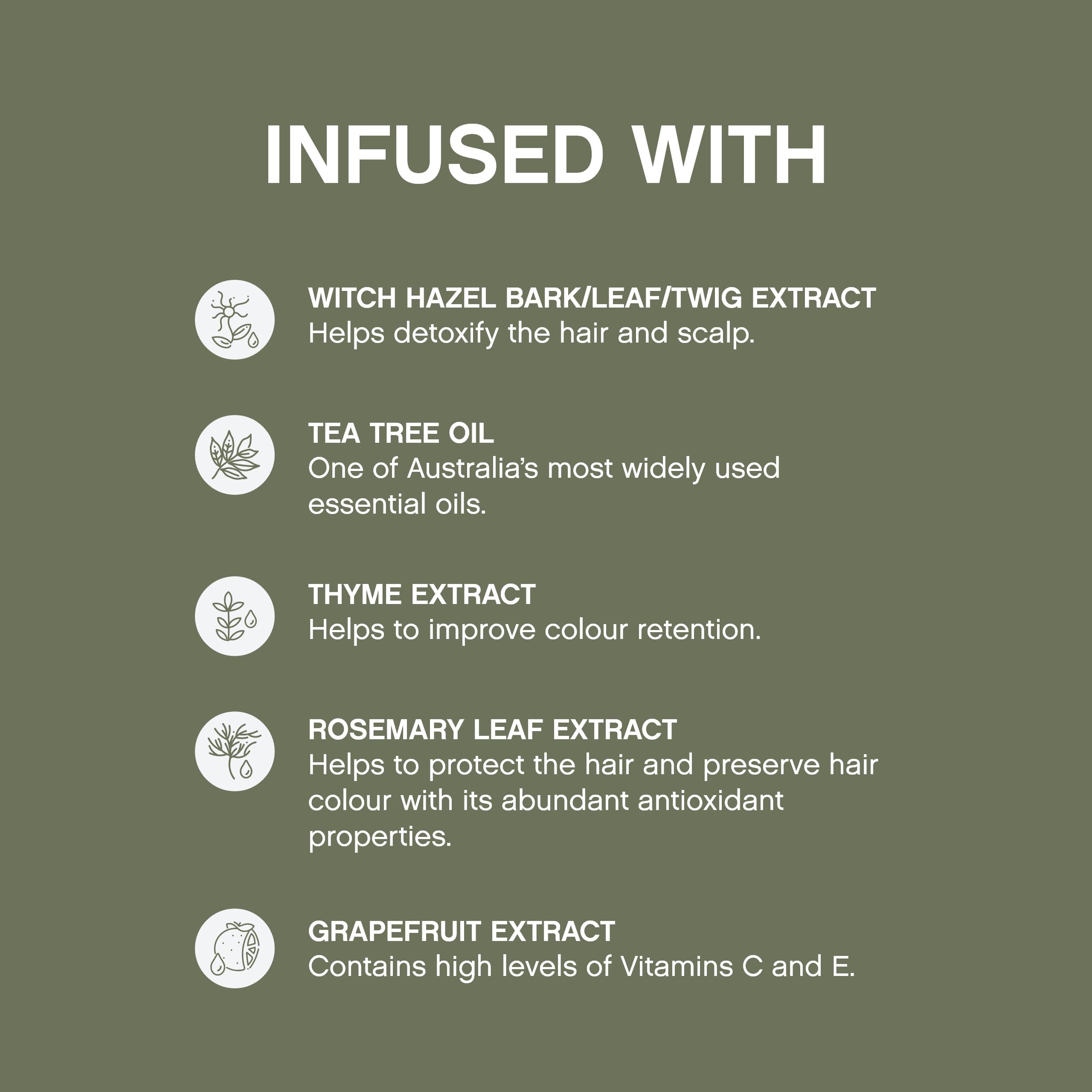 KEVIN MURPHY KEVIN.MURPHY MAXI.WASH - Detox Shampoo - Removes Build-Up & Minerals - Colour Safe - Also a Scalp Shampoo - Sulphate Free & Paraben Free - 250 mL / 8.4 fl oz