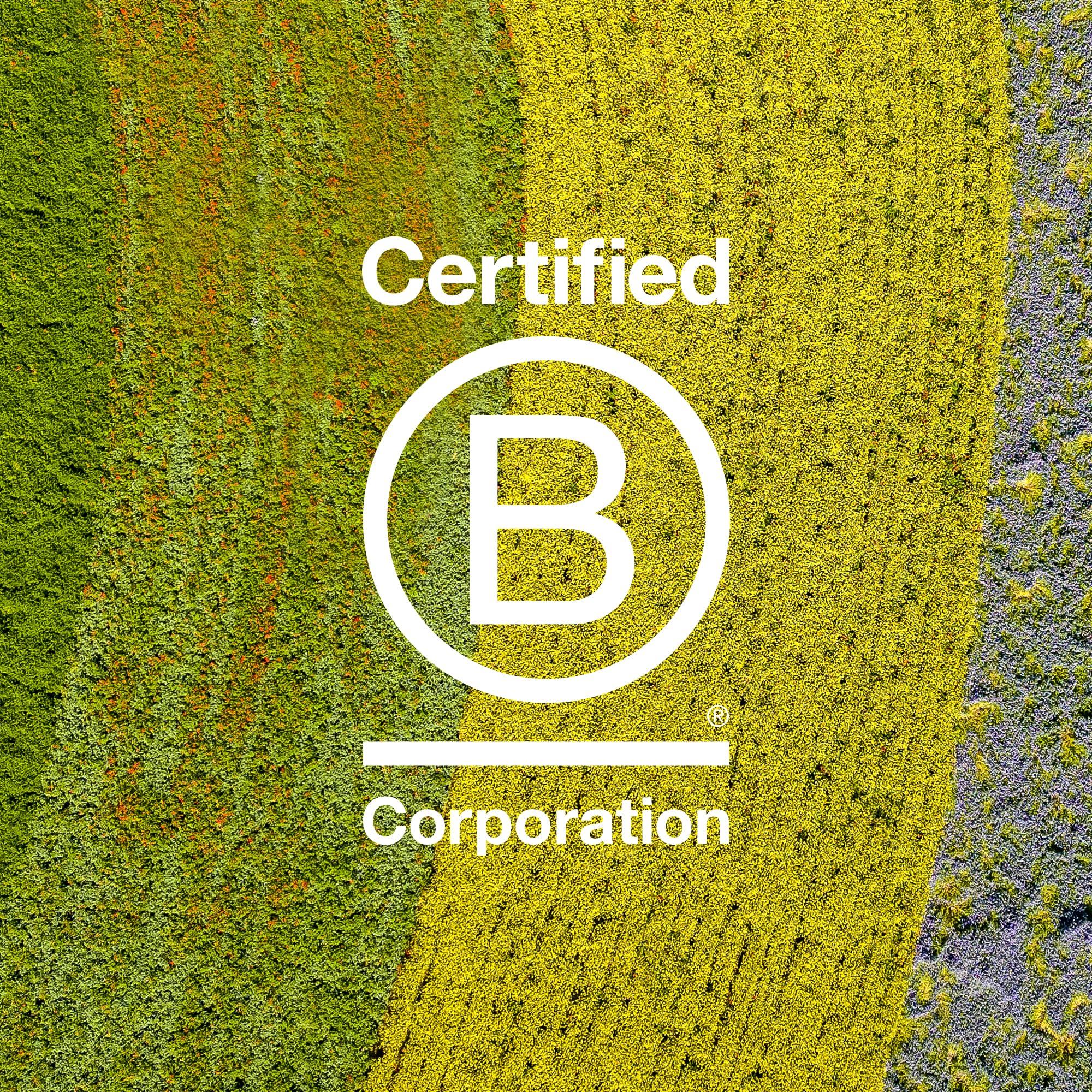 Davines Davines MOMO Moisturizing Shampoo & Conditioner for Dry, Dehydrated Hair, Add Softness & Shine, Detangling Formula, 8.45 & 8.77 fl. oz.