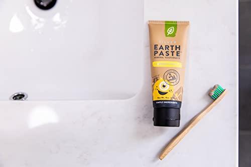 REDMOND Redmond Earthpaste with Silver - Natural Non-Fluoride Toothpaste, 4 Ounce Tube (Lemon Twist)