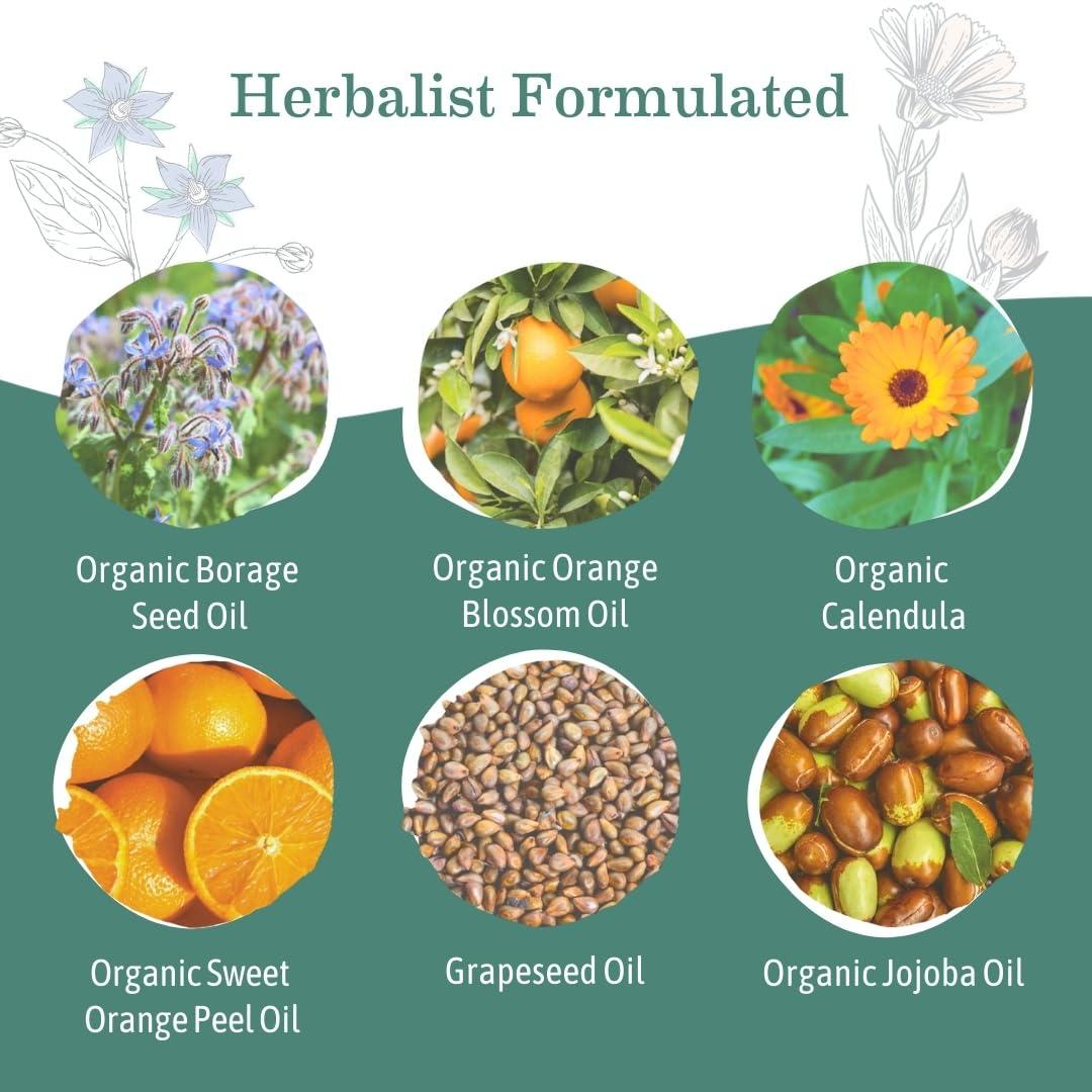 Earth Mama Earth Mama Belly Oil for Dry Skin | Calendula Skin Care Moisturizer Oil to Encourage Natural Elasticity and Help Prevent Stretch Marks During Pregnancy and Postpartum, 4-Fluid Ounce (3-Pack)