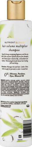 Pantene Pantene Nutrient Blends Bamboo Hair Volume Multiplier Silicone Free Shampoo For Fine, Thin Hair, 9.6 Fl oz, 2.583 Fl oz