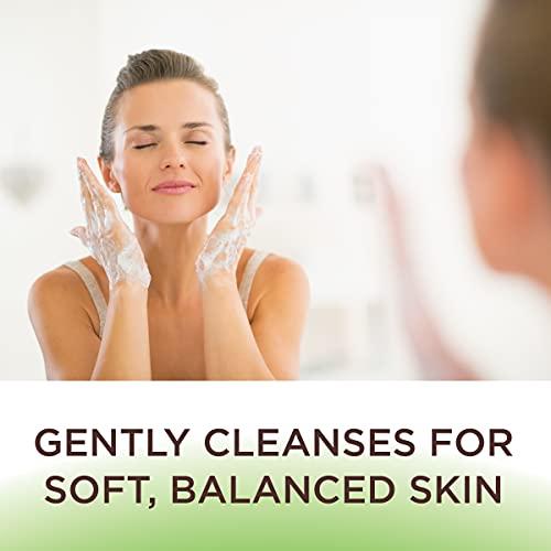 Phisoderm Phisoderm Anti-Blemish Body Wash for Acne, 10 fl oz Bottle (Pack of 2)