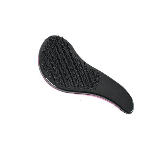 Dingli Hair Dingli Hair Detangling Hair Brush Detangler Hair Comb for All Kinds of Hair (Black)