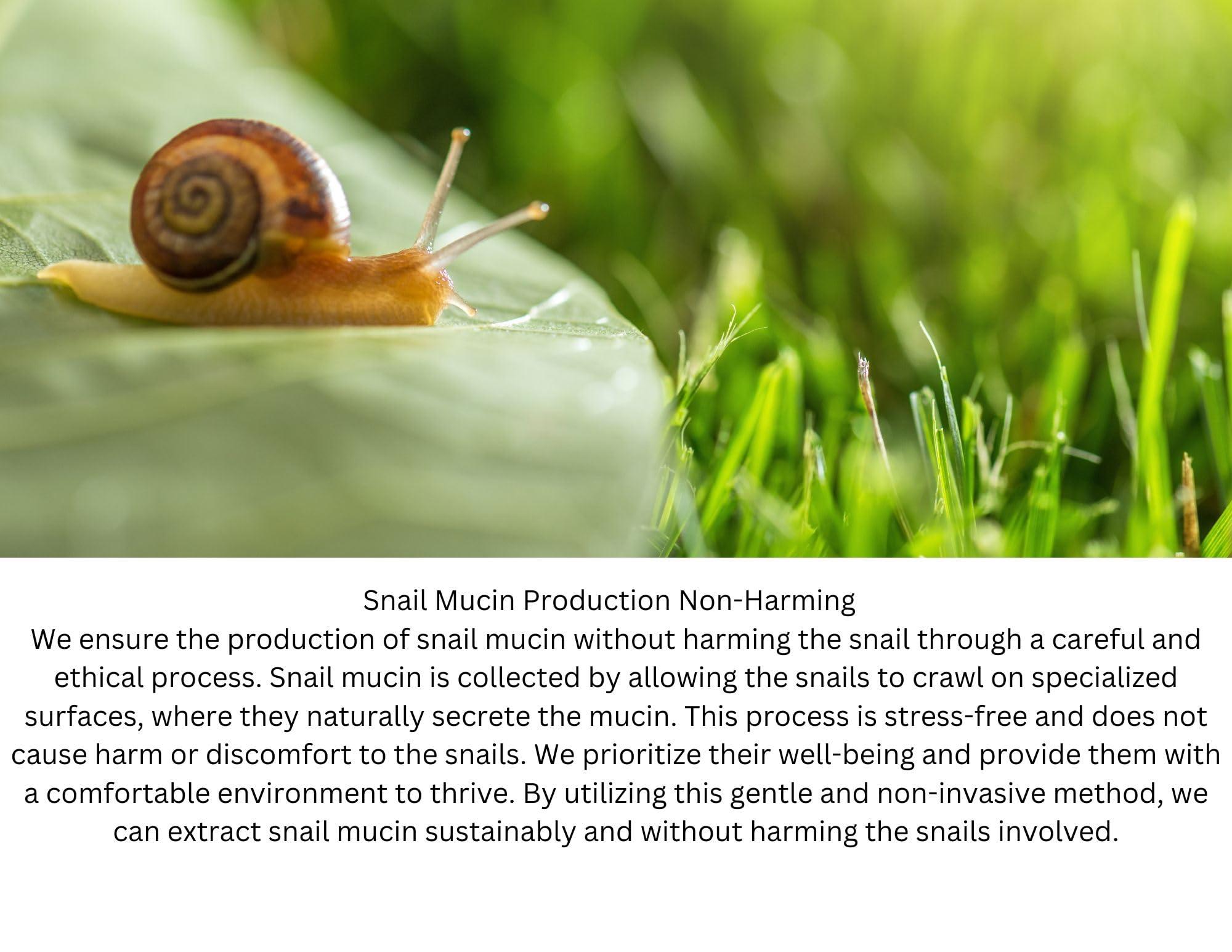 ZAIN1.618 Natural Hair growth Shampoo With Snail Mucin, Rosemary, Biotin, Niacinamide, Castor oil and Caffeine.(Mimosa, 8.45 oz) pH Level 5.2