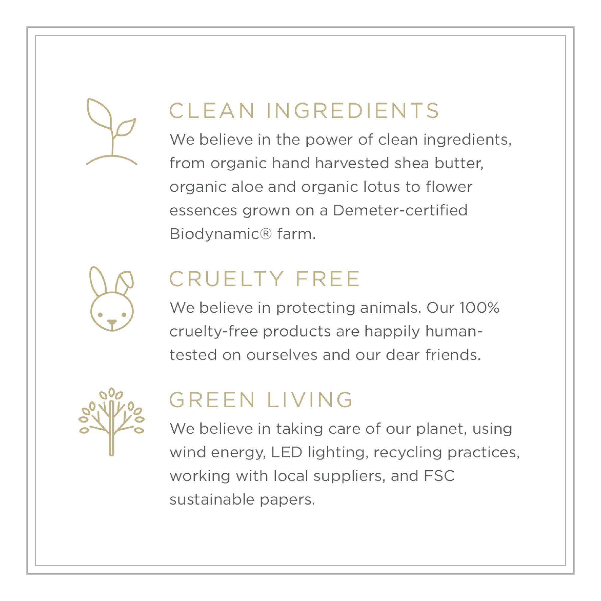 Zents Zents Moisturizing & Cleansing Skincare Set (Earth Fragrance) | Probiotic Lotion & Body Wash with Organic Shea Butter & Aloe | Hydrates & Nourishes Skin | 10 fl oz & 6.4 fl oz