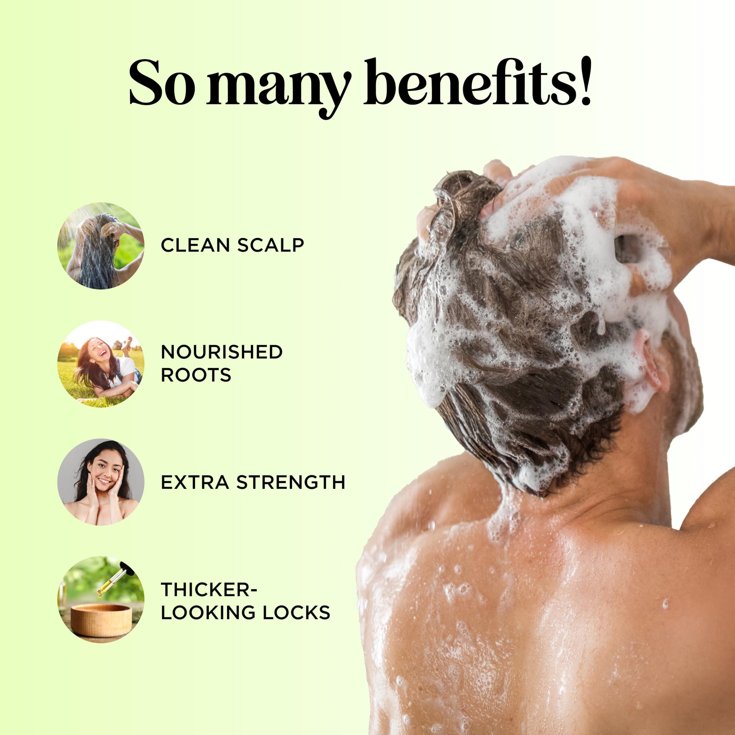 Maple Holistics Maple Holistics Tea Tree Oil Shampoo Sulfate Free - Deep Cleansing Vegan Tea Tree Shampoo for Oily Hair and Scalp - Daily for Build up with Rosemary Essential Oil for All Hair Types 25 Fl Oz