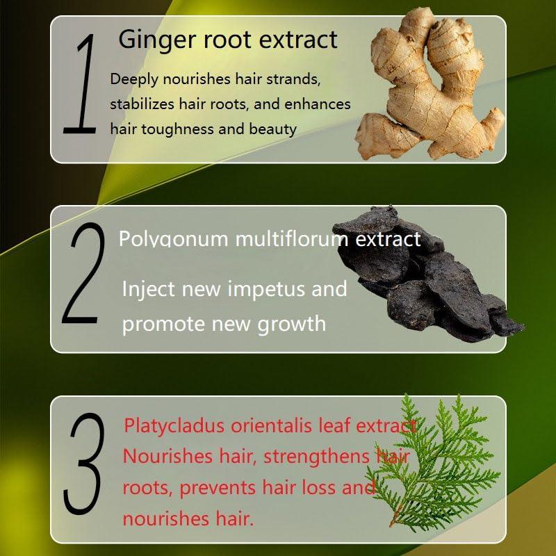 Ginaday 2 Box Ginger Plant Extract Shampoo for Hair Growth and Anti-Loss Control, Hair Growth Oil Care by Ginaday