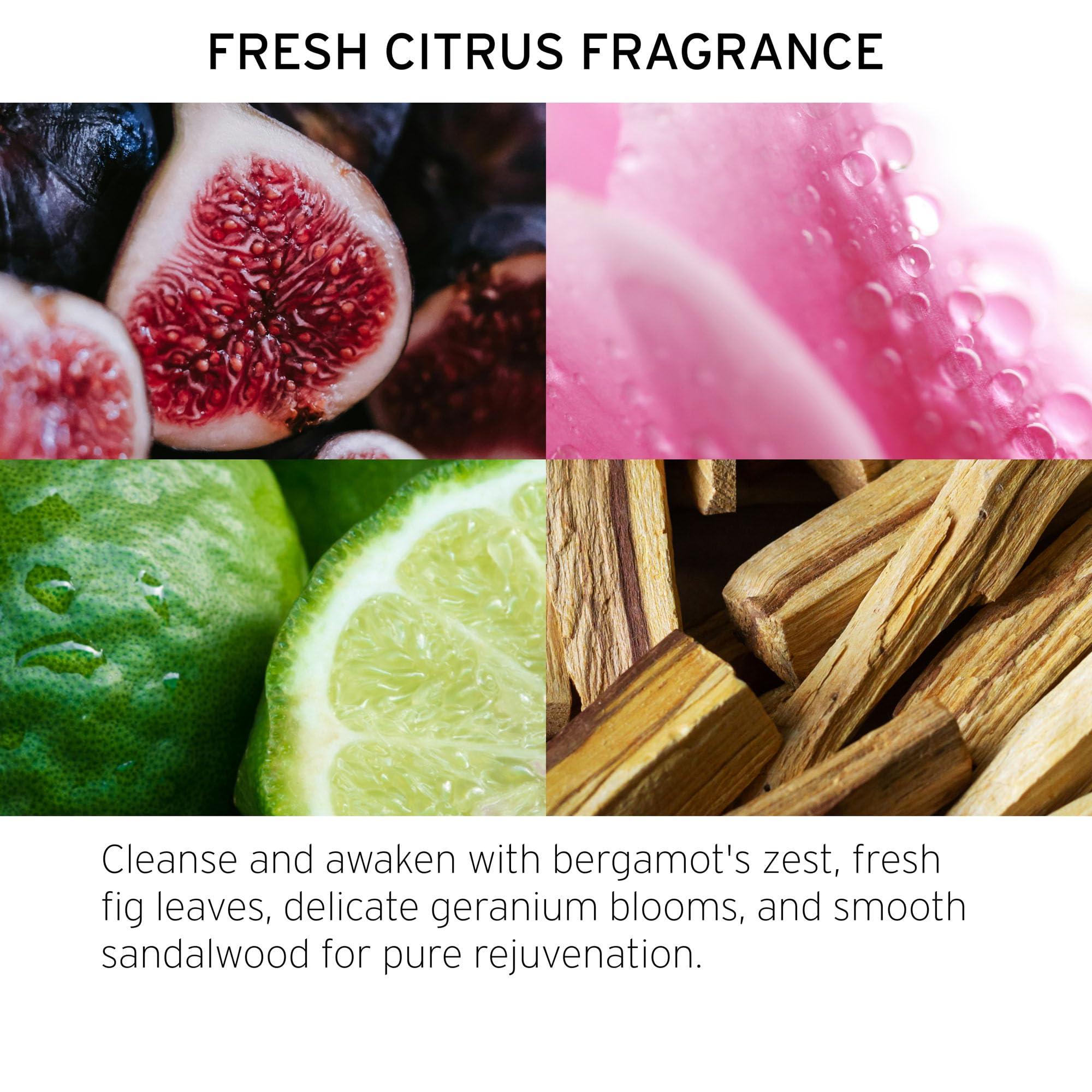 Fekkai FEKKAI Blonde RX 3-Step System Bundle - Includes Blonde RX Purple Shampoo (2 oz), Purple Mask (7.5 oz) + Brightening Oil (1.7 oz) - Free of Sulfates, Parabens, Phthalates - Vegan, Cruelty-Free