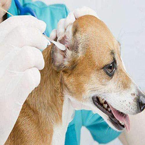 Quanzhou Chenchenchen E-Commerce Co.,Ltd 6 Inch Long Cotton Swabs (Large Size) 400pcs for Pets, Gun Cleaning or Makeup