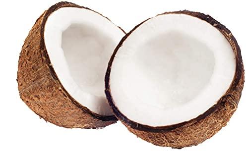 Dr Joe Lab Dr Joe Lab Capryl Glucoside Liquid Surfactant - Caprylyl Natural, Plant Derived - DIY Skin Care - Shower Gels, Foaming, Body Soap, Shampoos Baby Products Face Cleansers - COCOJOJO (32 oz)