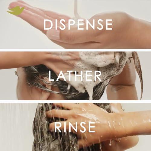 Dove Dove Damage Therapy Derma Shampoo Dryness + Itch Pack of 6 for Flaky Scalp with Pyrithione Zinc and Coconut Oil 12 Fl Oz