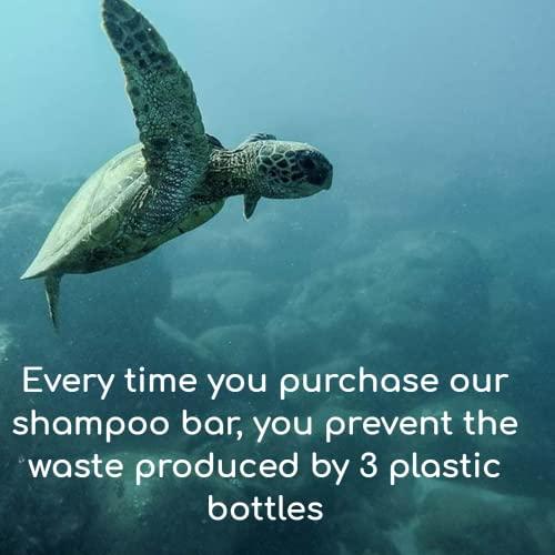 Pacific Spirit Pacific Spirit Bar Shampoo for normal hair with Coconut Oil & Raspberry, Rich foam, Sulfate-Free, Soap-Free, Zero Waste, Vegan, Eco-Friendly, 3.53 Oz