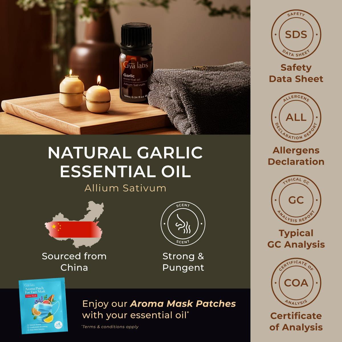 Gya Labs Garlic Essential Oil for Hair & Thyme Oil for Hair Set - 100% Natural Aromatherapy Grade Essential Oils Set - 2x0.34 fl oz - Gya Labs