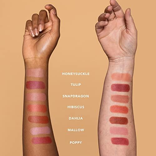 Ethique Ethique Dahlia Satin Matte Lipstick - Terracotta Brown - Plastic-Free, Vegan, Cruelty-Free, Eco-Friendly, 0.28 oz (Pack of 1)