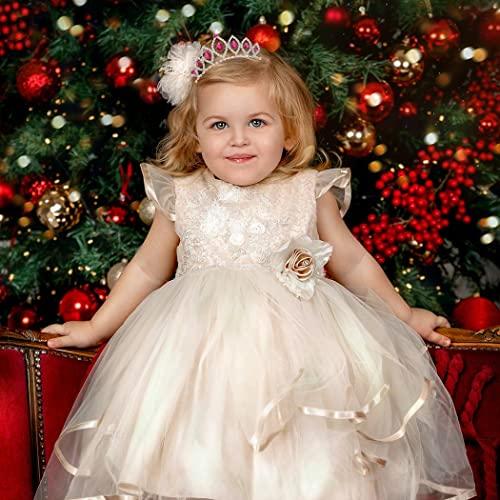 Kilshye Kilshye Princess Tiaras Comb Wedding Crown Combs Red Crytal Tiara Birthday Prom Crowns Headpiece for Women and Girls (Pink)