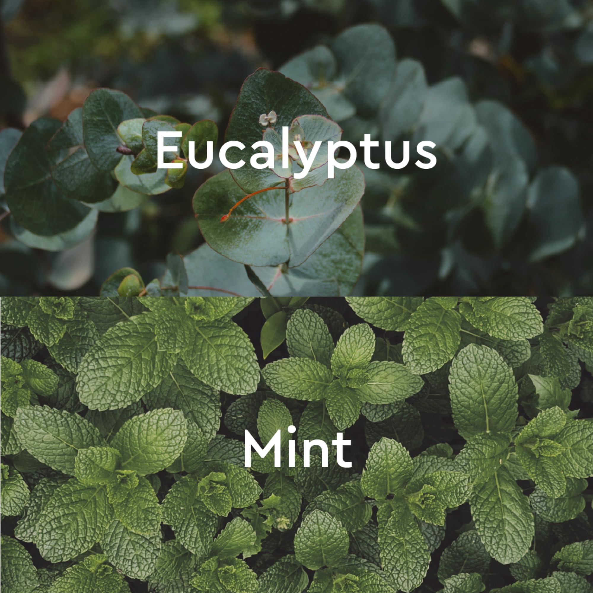 Kneipp Kneipp Under The Weather Eucalyptus Aromatherapy Bubble Bath - Good for Respiratory Wellness - Vegan - Sulfate Free - 13.5 fl oz - Up to Eight Baths