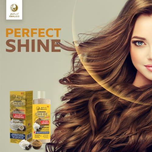 AMALICO Sulfate Free Shampoo with Chebe Powder and Shea Butter (16.9 OZ) Hair Shampoo for Hair Growth and Anti-dandruff Shampoo