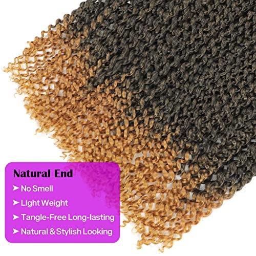 Rainish Passion Twist Hair 24 Inch Pre-looped Passion Twist Crochet Hair 9 Packs Pre-twisted Water Wave Crochet Braids Butterfly Locs Long Bohemian Braiding Hair Extensions (24 Inch, (Pack of 9), T1B/27)