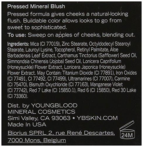 Youngblood Youngblood Clean Luxury Cosmetics Pressed Mineral Blush, Blossom | Powder Cheeks Compact Pink Minerals Skin Brush Natural Matte Glow Rose Peach Complexion Sensitive | Cruelty Free, Paraben Free