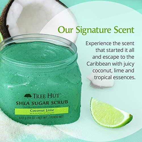 Tree Hut Tree Hut Shea Sugar Scrub, Coconut Lime, 18 Ounce (Pack of 3)