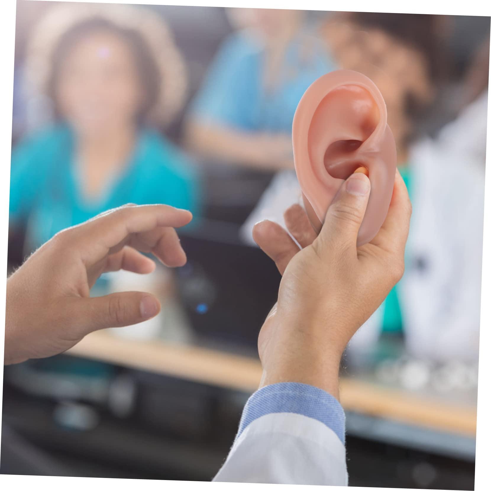 BIUDECO BIUDECO 1pc Human Ear Model Ear Picker Headphones Ear Defenders Ear Practice Model Reusable Earwax Symmetry Ear Cleaning Loop Lanyard Vibes Earphones Coffee