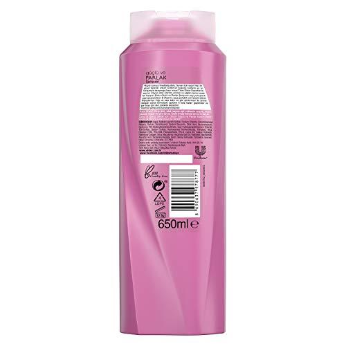 Raykush Art ELIDOR Radiant Shine Shampoo - Guclu ve Parlak Sampuan 650mL