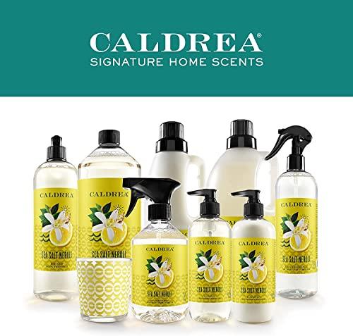 Caldrea Caldrea Dish Soap, Biodegradable Dishwashing Liquid made with Soap Bark and Aloe Vera, Sea Salt Neroli, 16 oz , 3 Pack