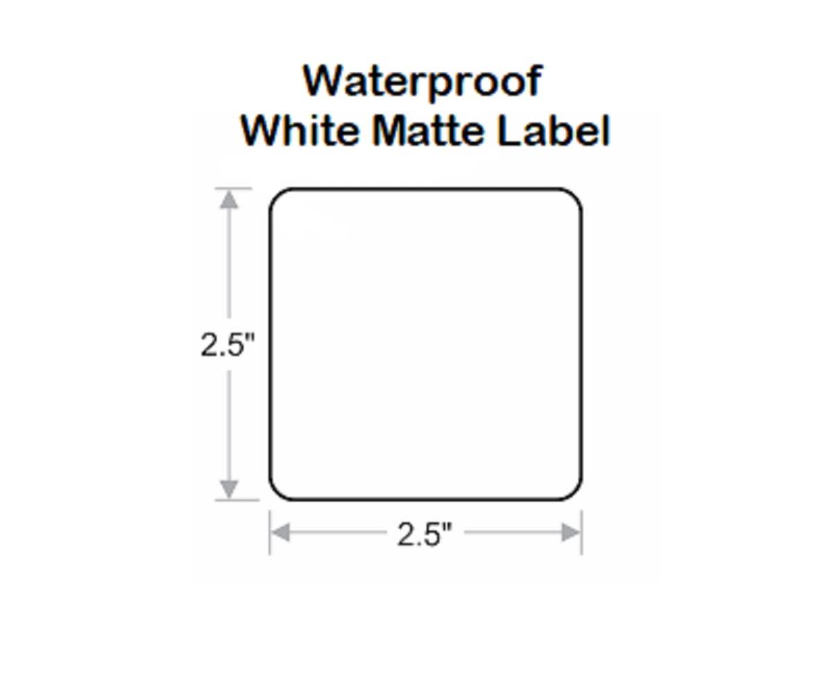 Generic 6 Pack 16 oz (475 ml) Slim Plastic PET Bottles with 3 Black Lotion Pump Dispensers and 3 Black Disc Caps and 6 Waterproof 2.5\" Square Labels | Made in USA | Mountainleaf (Amber Bottle with Label)