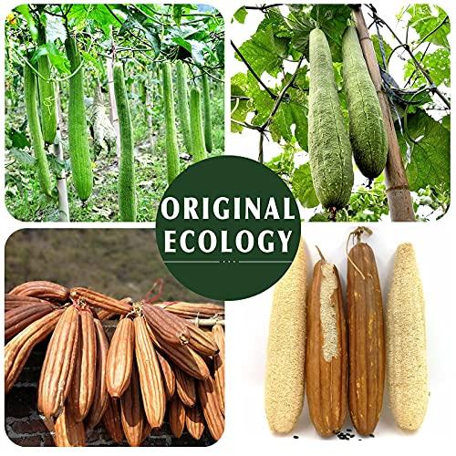 YIQINGJIE Natural Loofah Sponge Exfoliating(4 Packs),Made with Eco-Friendly and Biodegradable Shower Luffa Sponge, Loofah for Women and Men, Brown