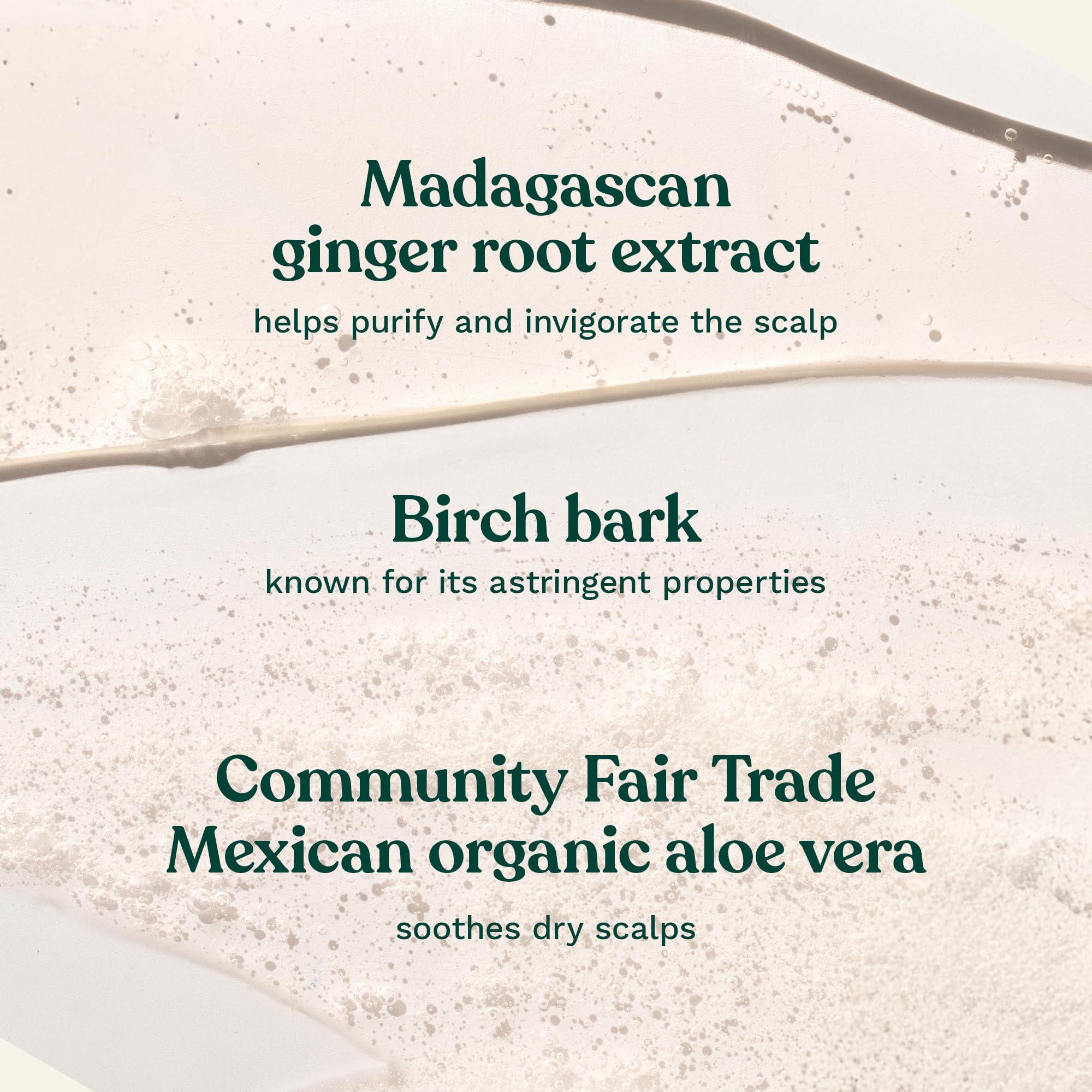 The Body Shop The Body Shop Ginger Scalp Care Shampoo – For Dry, Flaky Scalp – With Vegan Silk Protein – 250ml