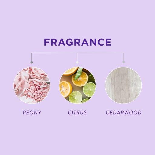 jhirmack jhirmack Silver Brightening Purple Shampoo Set of 4 for all types of silver, grey, and blonde hair