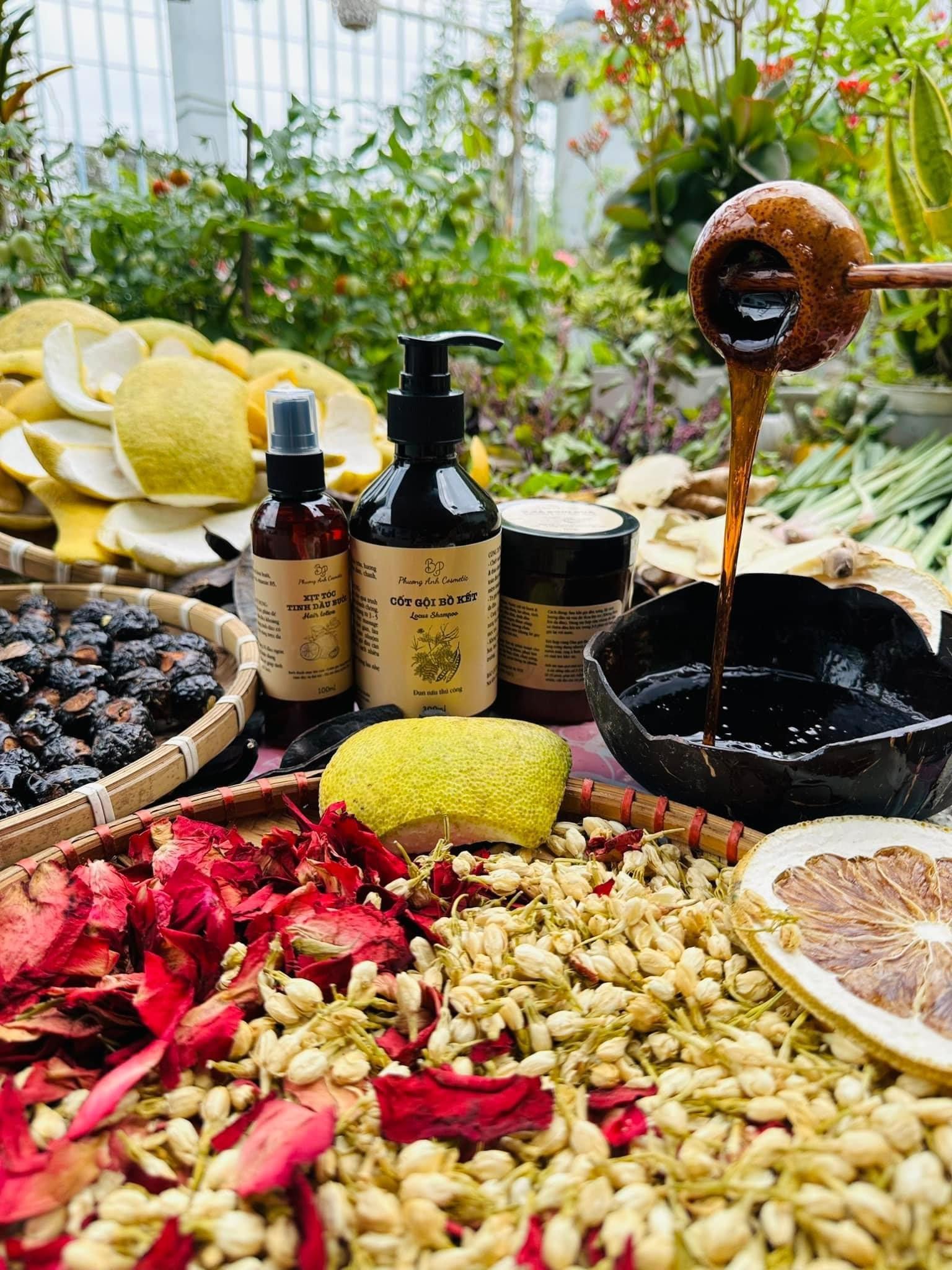 Phuong Anh Cosmetic Phuong Anh Cosmetic - Combo Locust Shampoo and Conditioner (free hair growth serum and eyelash serum) - Combo Ct Gi B Kt X Bi Da (Tng Tinh Du Bi Kch Mc Tc, Serum Dng Mi)