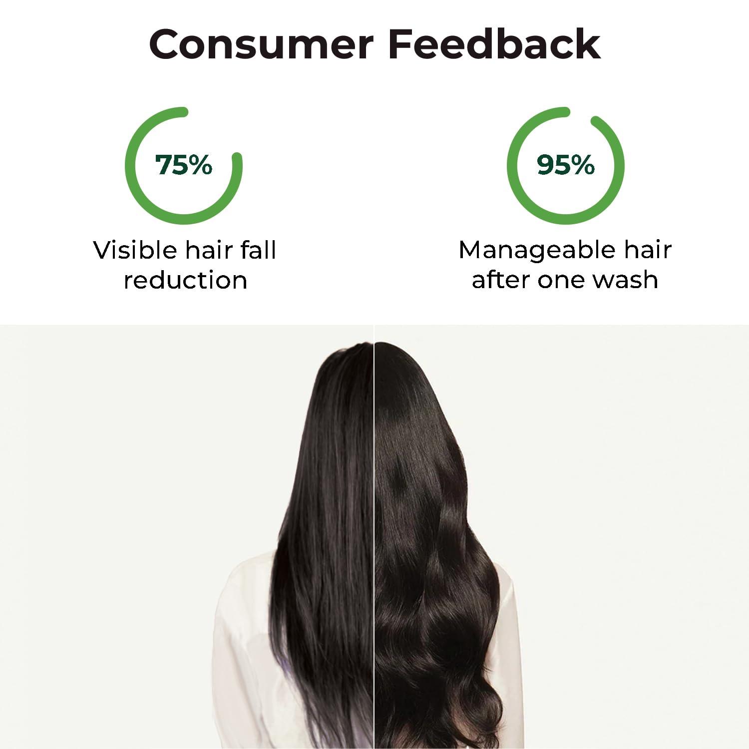 The Organic Forest  VEGAN . PURE . NATURAL Amla Shampoo & Conditioner Set Sulfate-Free, Organic Moisturizing Hair Care for Dry Scalp & Damaged Hair, Deep Conditioner for Curly Hair, Natural Hair Strengthening for Men & Women