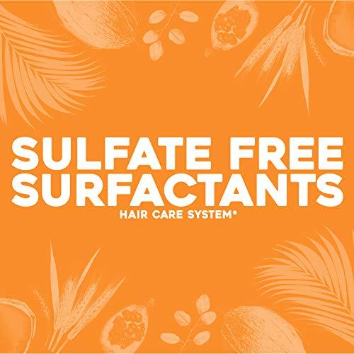 OGX OGX Strength Length + Golden Turmeric Shampoo with Milk to Soothe Scalp Nourish Hair Ayurveda SulfateFree Surfactants for Stronger Longer Hair, Coconut, 13 Fl Oz